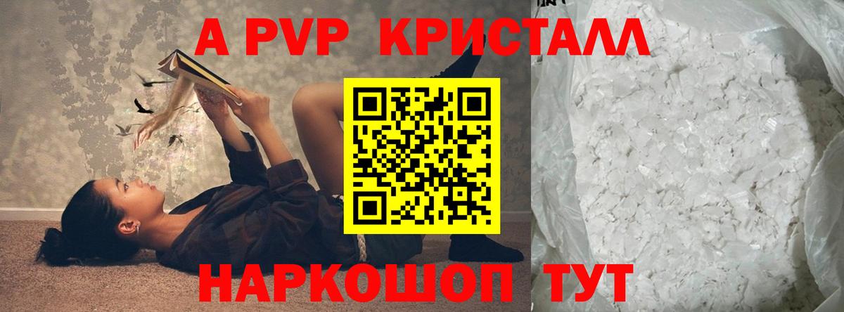 A-PVP СК КРИС Гурьевск