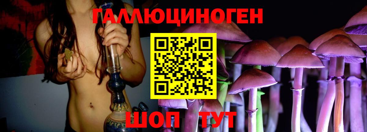Галлюциногенные грибы GOLDEN TEACHER  Галлюциногенные грибы Psilocybine cubensis  Вход с VPN  Гурьевск 